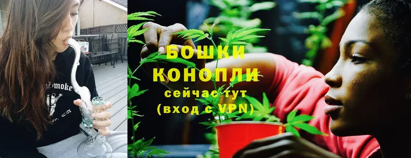 Бошки марихуана Ganja  Заринск 